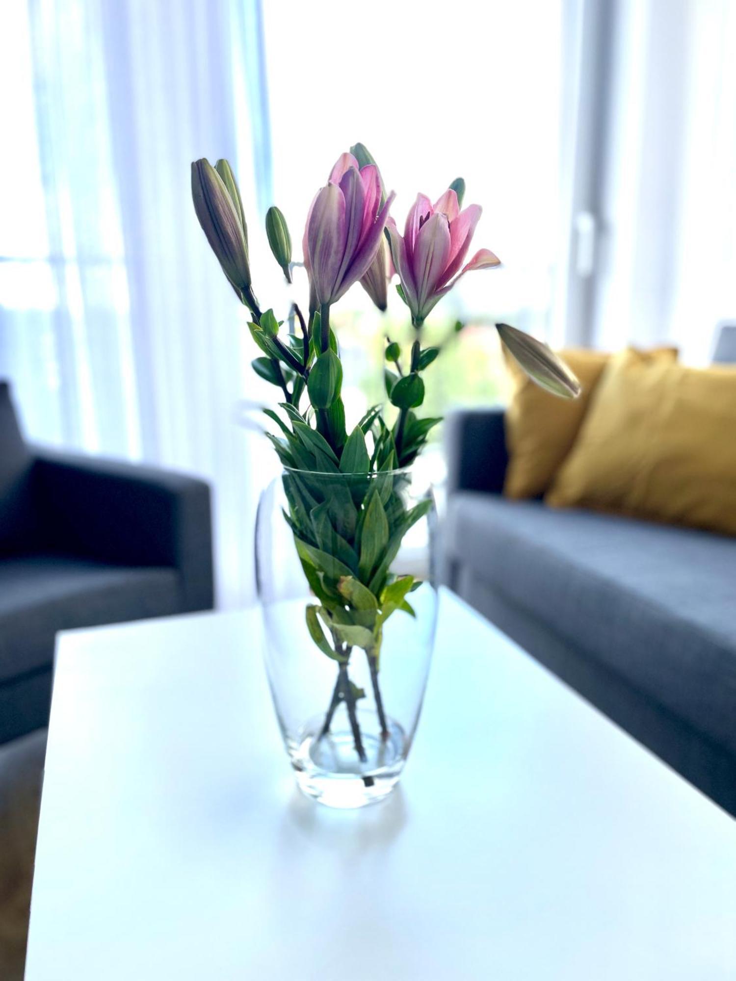Sonja Apartment Zator Luaran gambar